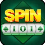Spin 101