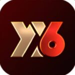 YY6